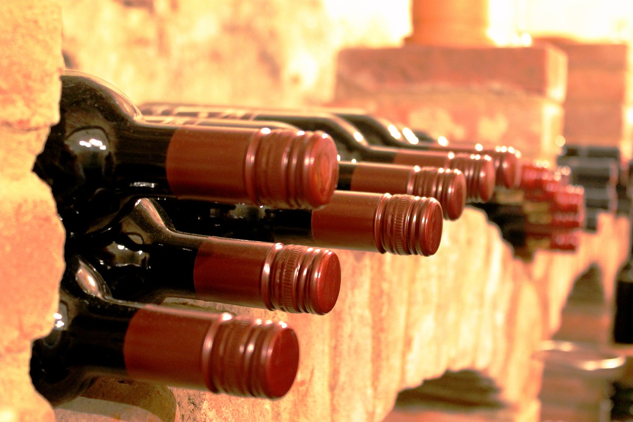 cave de conservation de vin